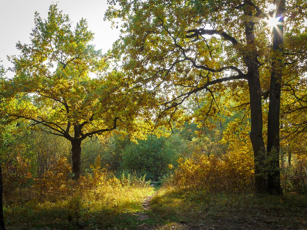 Photograph by Наталья Колеватова