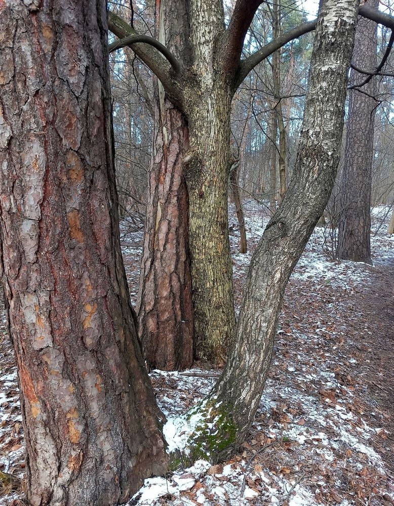 Photograph by Марина Чуева