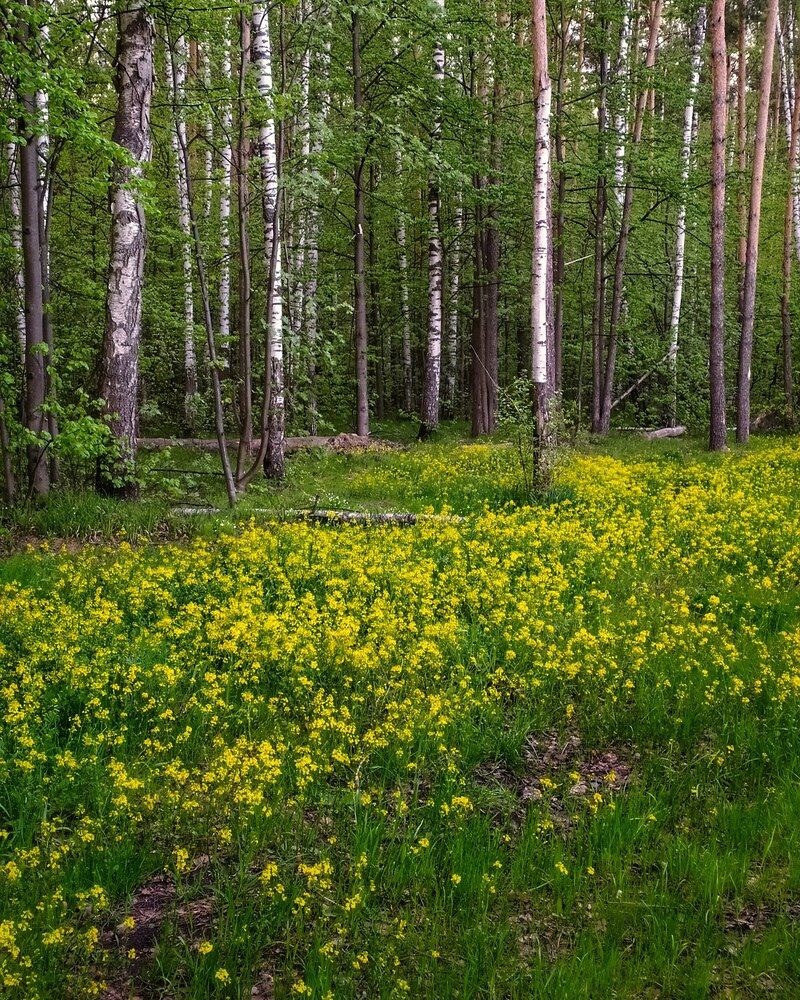 Photograph by Любовь Сухова