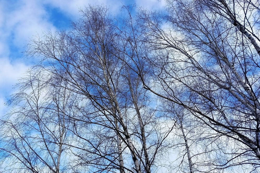 Photograph by Марина Чуева