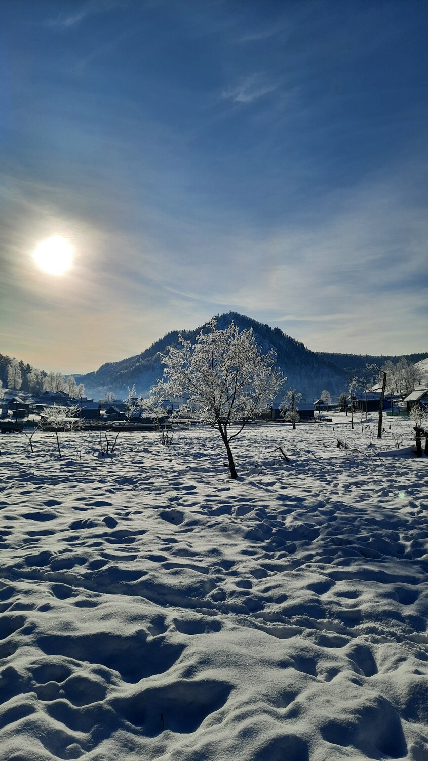 Photo #11804927