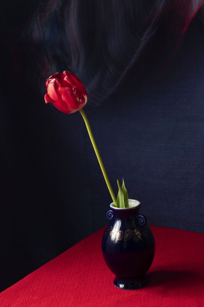 Photograph by Елена Коврижных