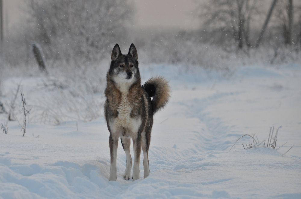 Photograph by Галина Катанова