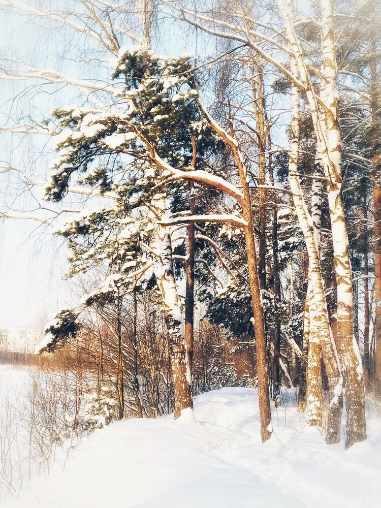 Photograph by Любовь Сухова