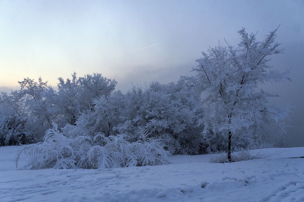Photograph by Александр Пургин