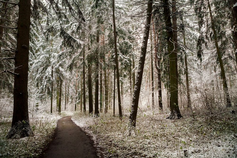 Photograph by Дмитрий