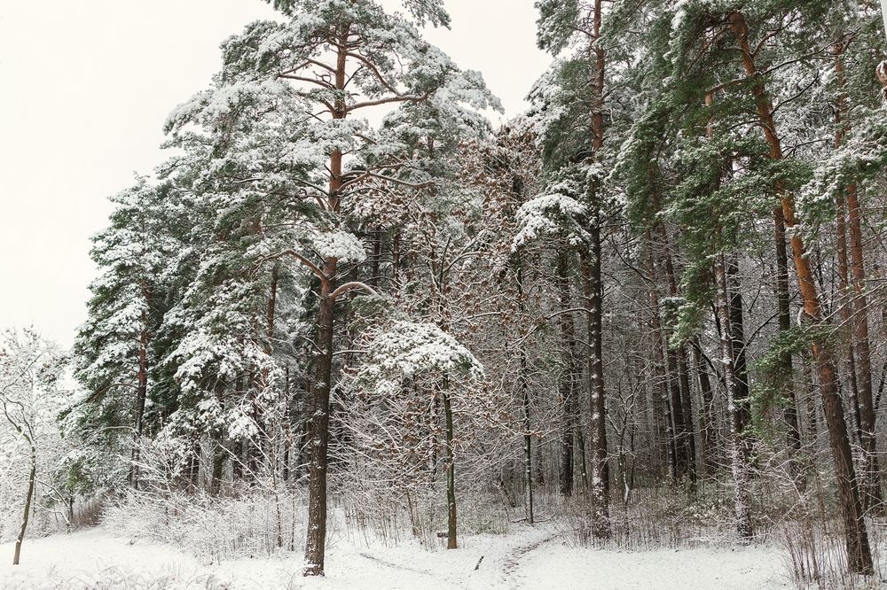 Photograph by Дмитрий