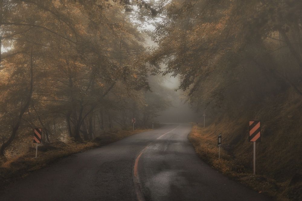 Photograph by Hamid espanani