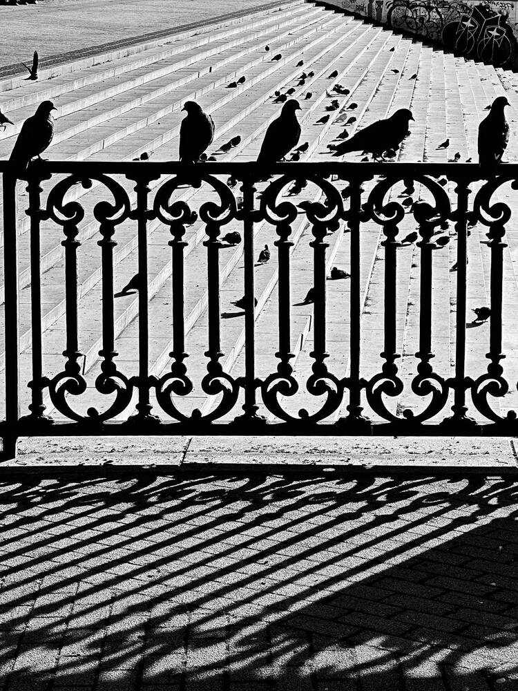 Photograph by Екатерина Анпилова