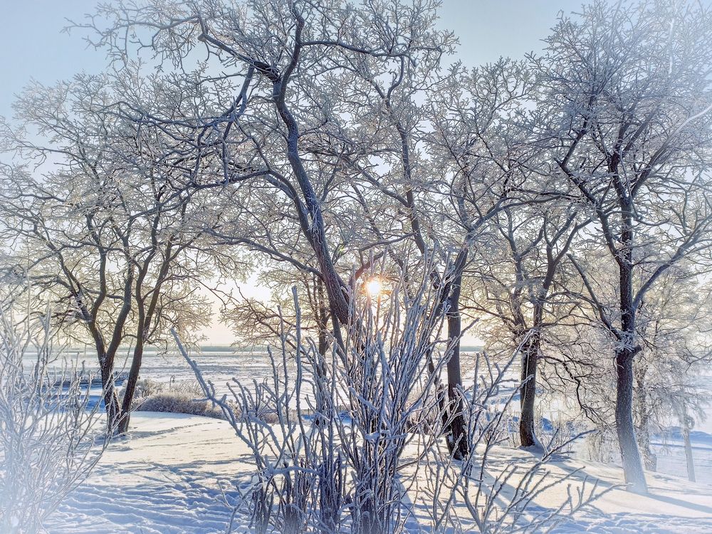 Photograph by Ольга Ситникова