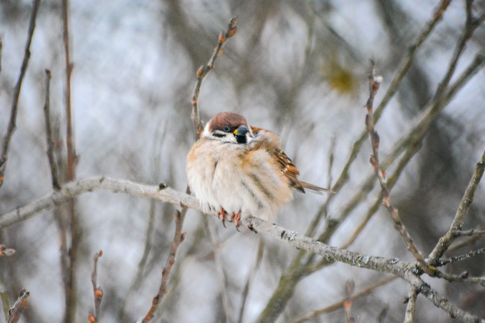 Photograph by Анастасия Гурова
