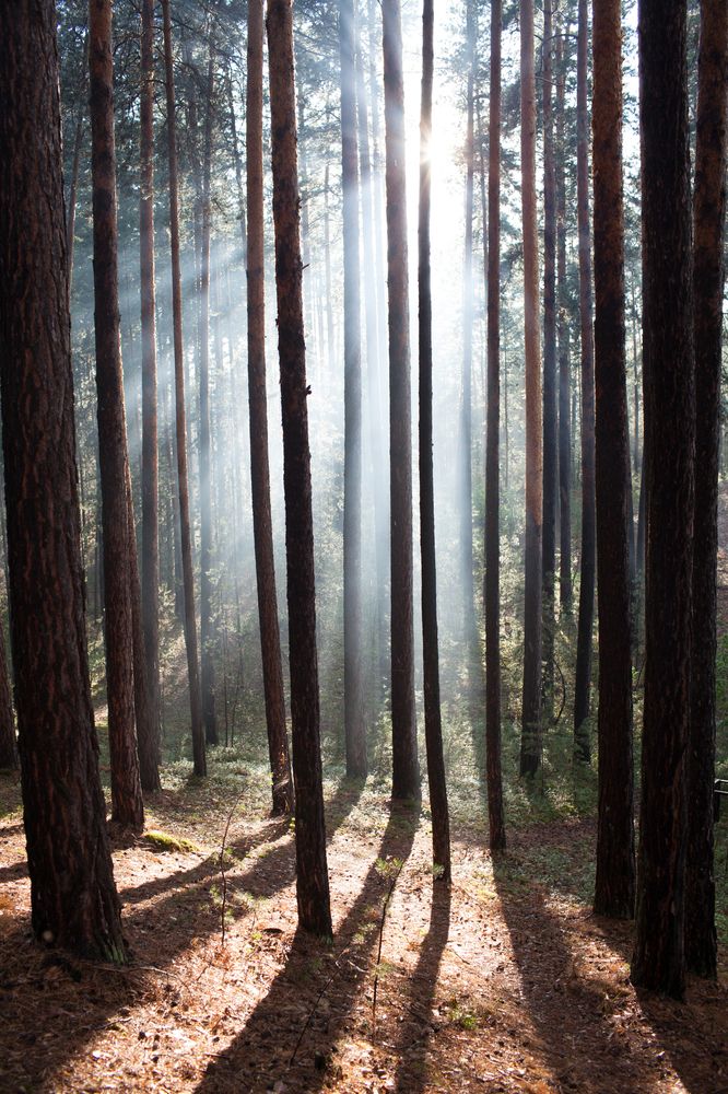 Photograph by Дмитрий Загурский