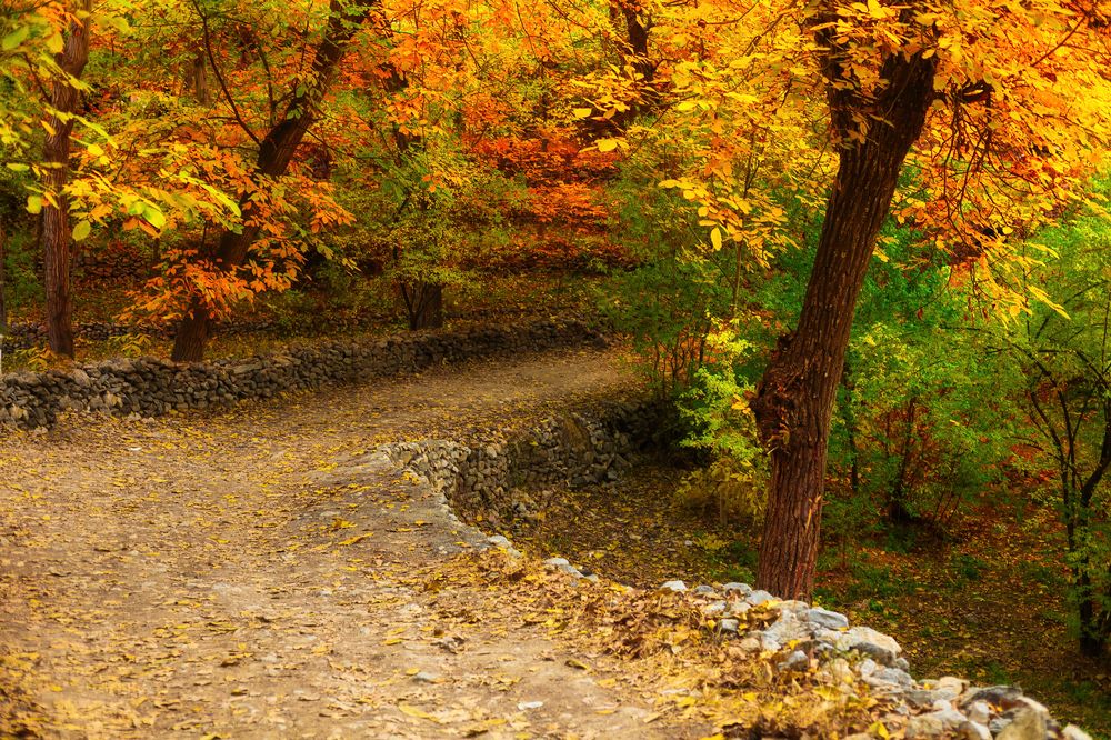 Photograph by Hamid espanani