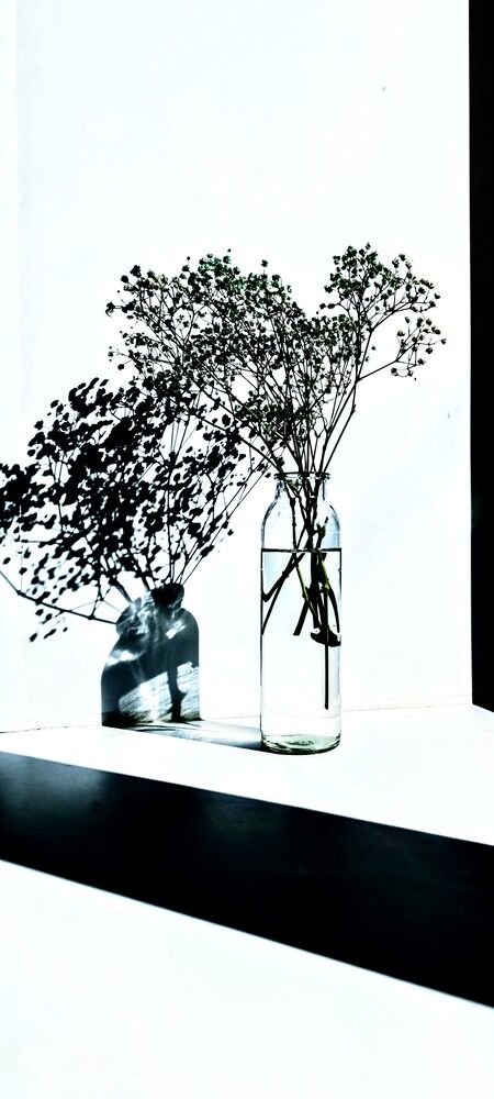 Photograph by Заира
