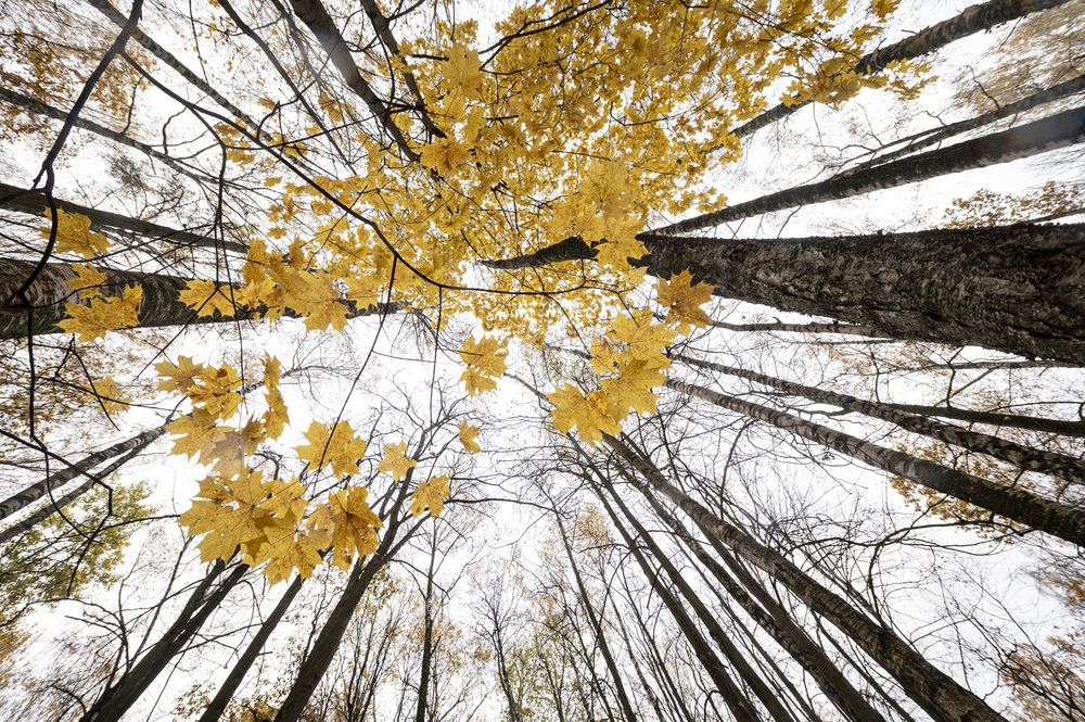 Photograph by Николай Галкин