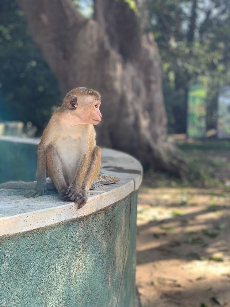 Фотография автора Наталия Буркина
