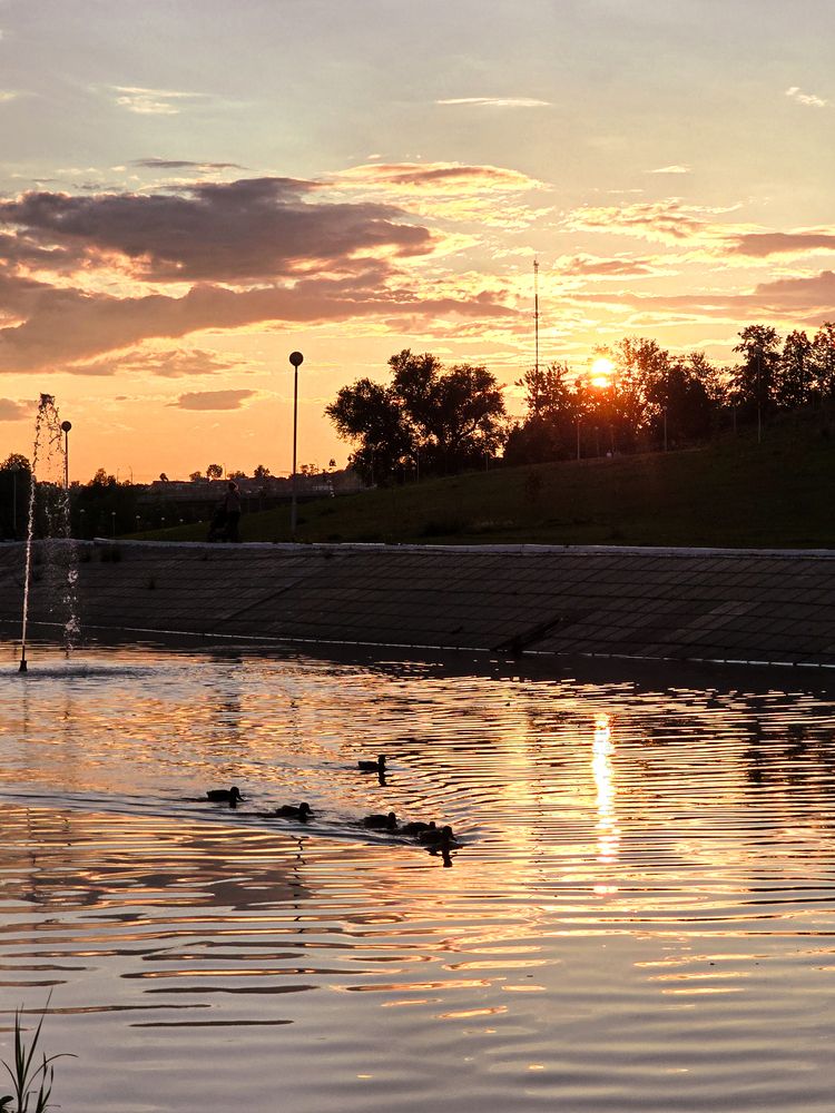 Photograph by Елена Сиушова