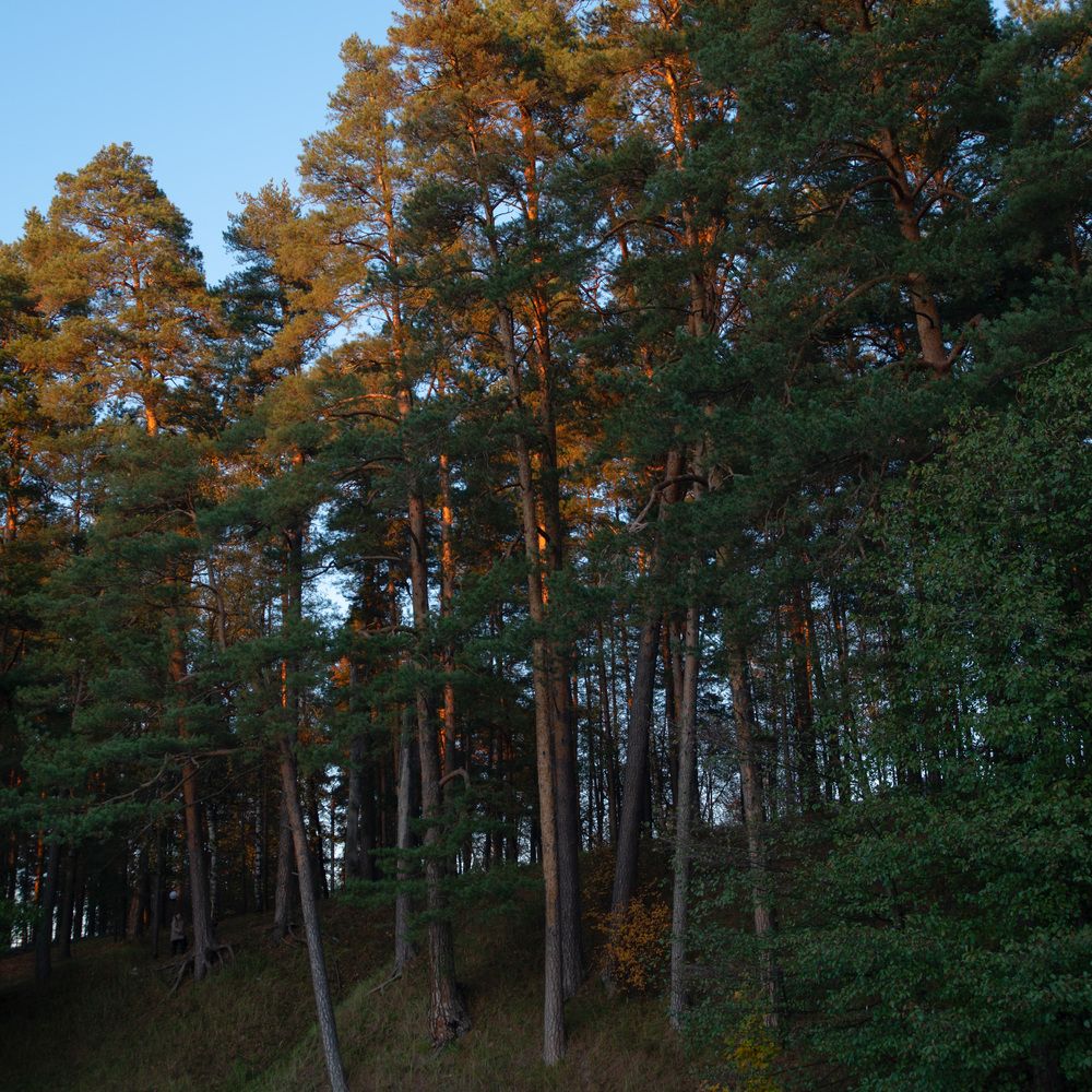 Photograph by Светлана Зайкова