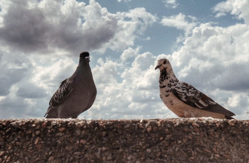 Photograph by Антон Е