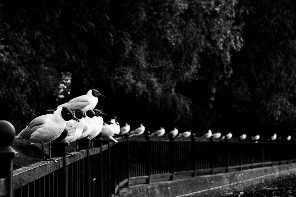 Photograph by Арсений Крят