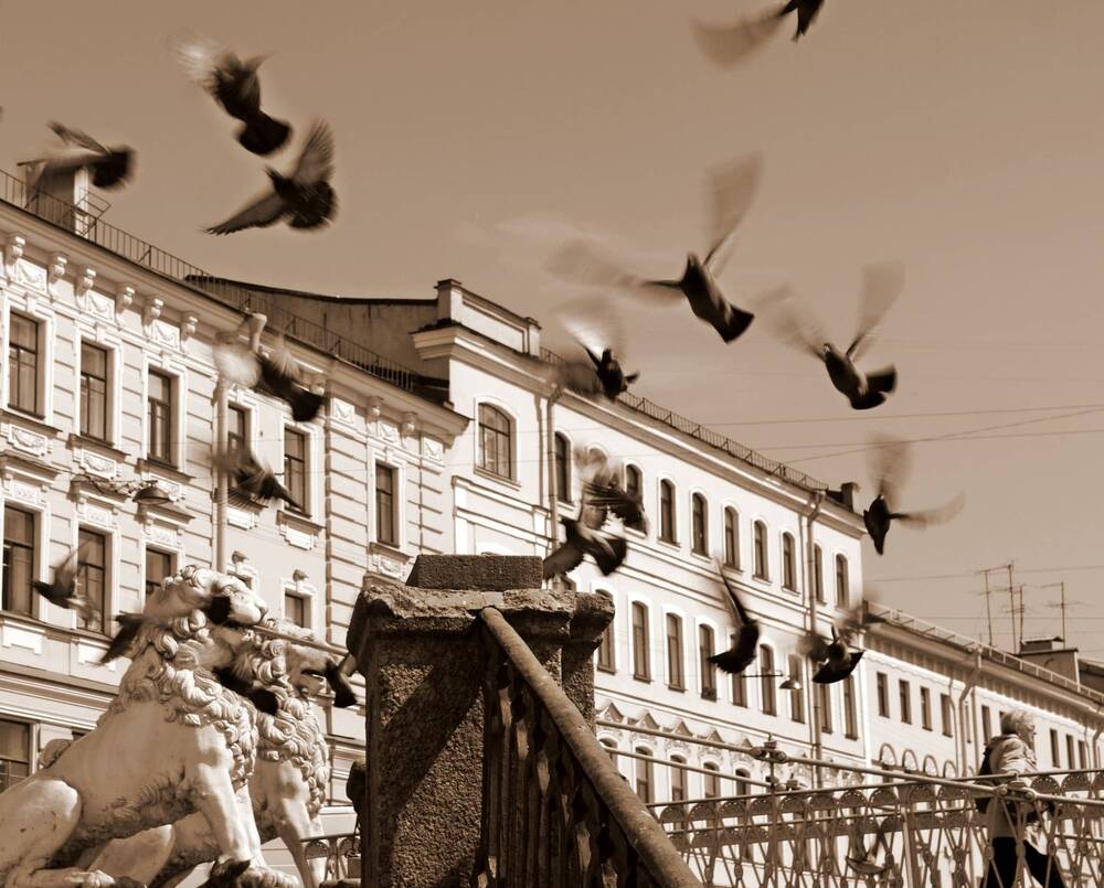 Photograph by Tatyana Markova