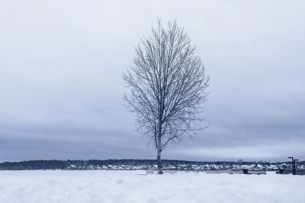Photograph by Наталья Сафронова