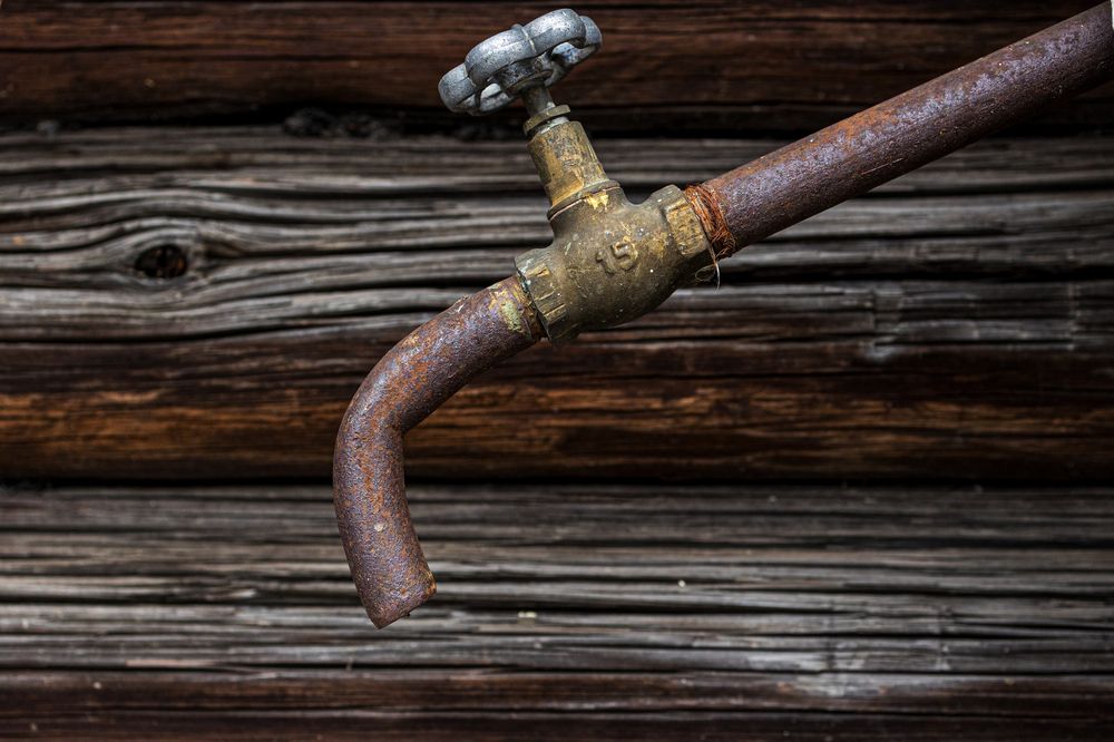 Photograph by Наталья Сафронова