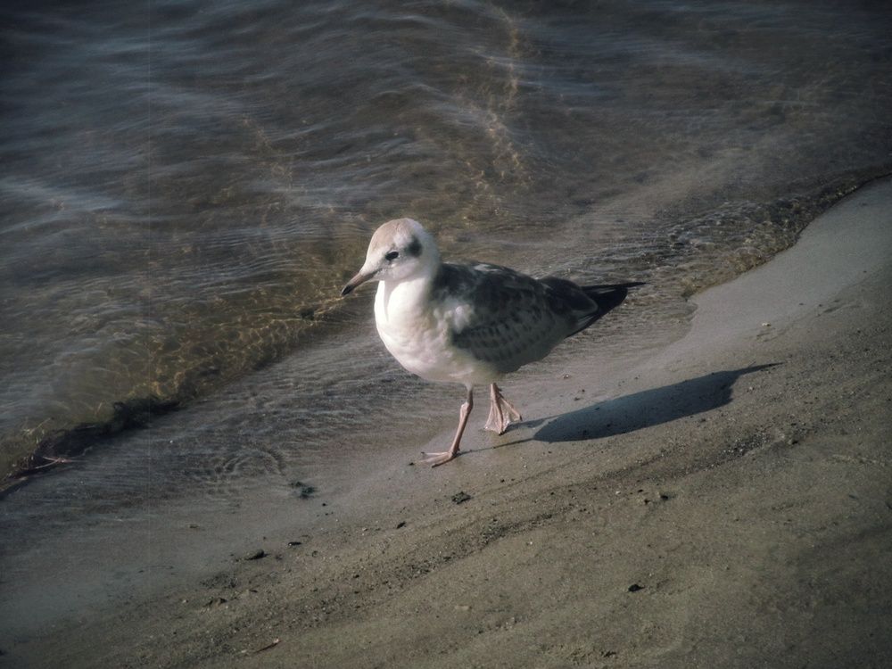 Photograph by Антон Е