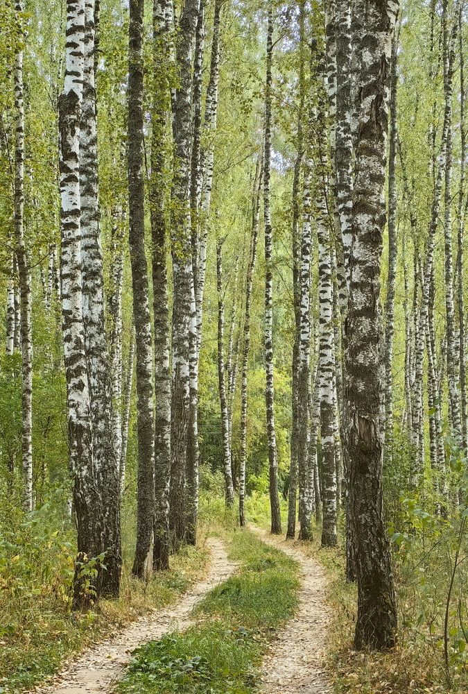 Photograph by Кристина Феминова