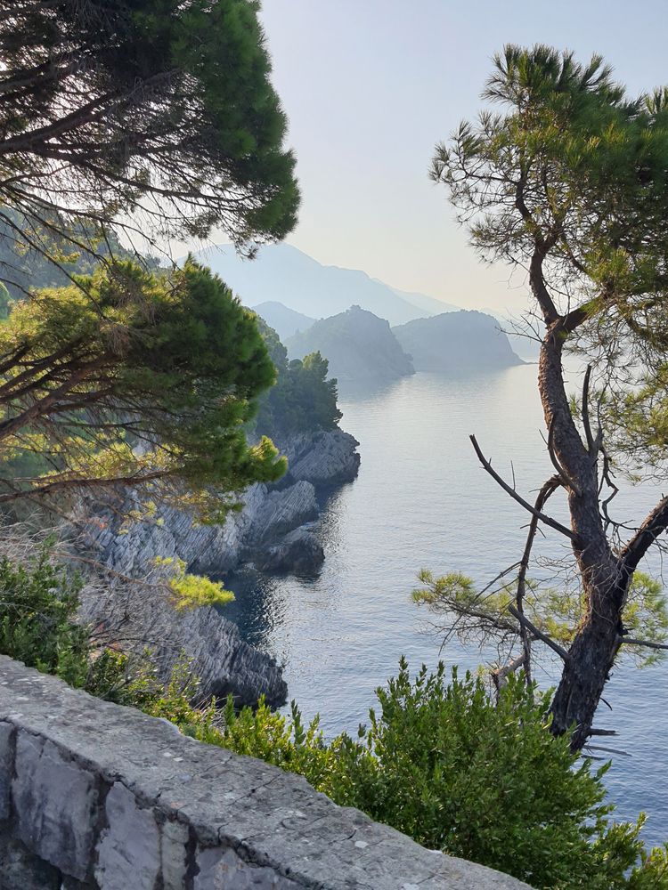 Photograph by Галина Горлицки