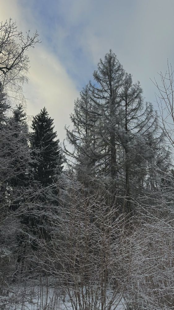 Photograph by Светлана Родионова