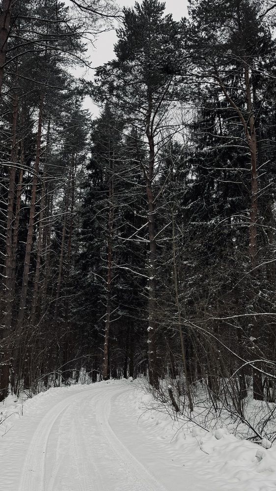 Photograph by Светлана Родионова