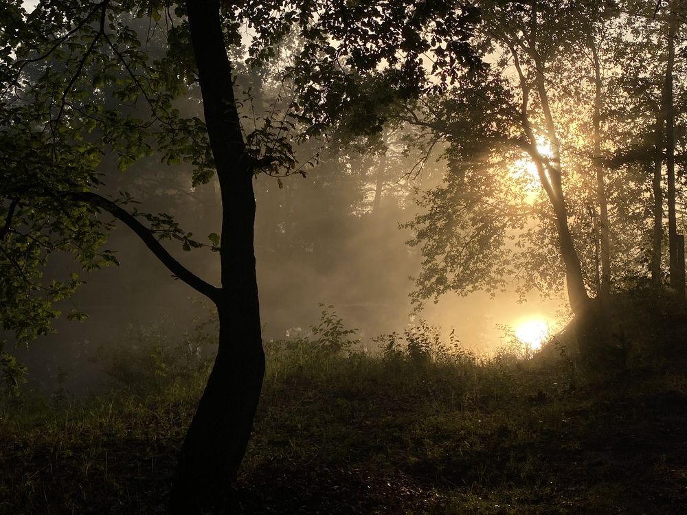 Photograph by Ольга Осинина