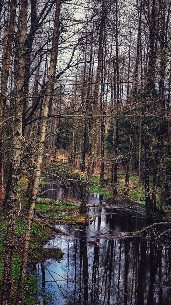 Photograph by Александр