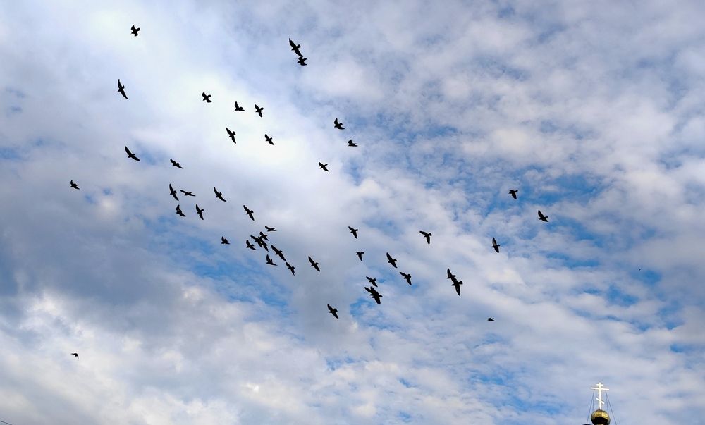 Photograph by Марина Артемьева