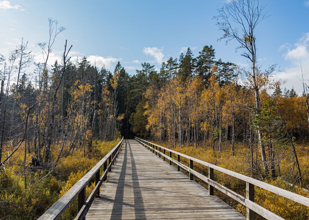 Photograph by Victor Shaposhnikov