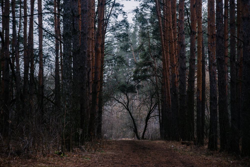 Photograph by Арина Сучкова