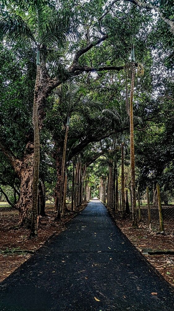 Photograph by Заира