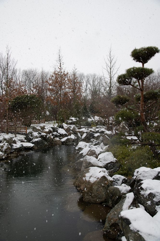 Photograph by Анастасия Кашенко