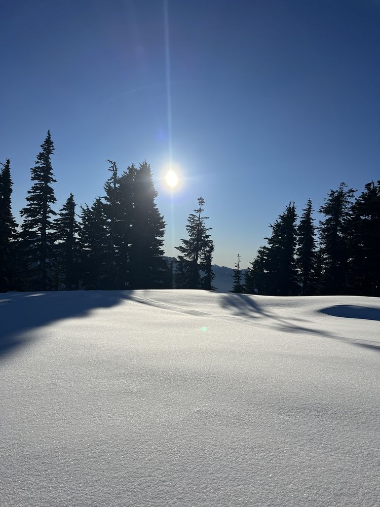 Фотография автора Diana