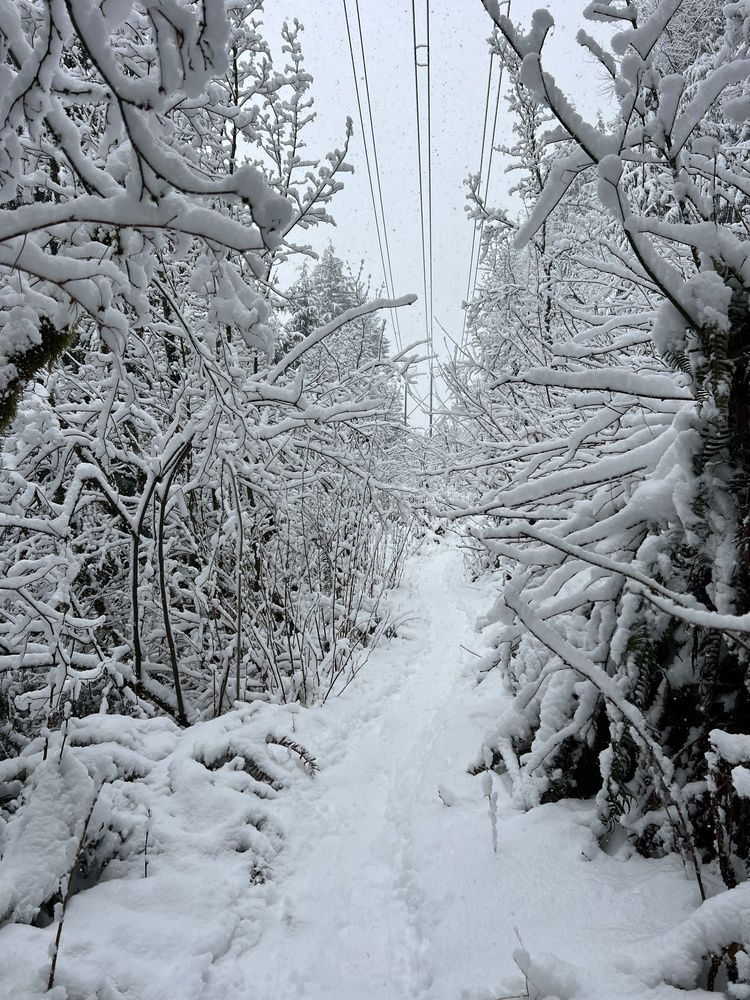 Фотография автора Diana