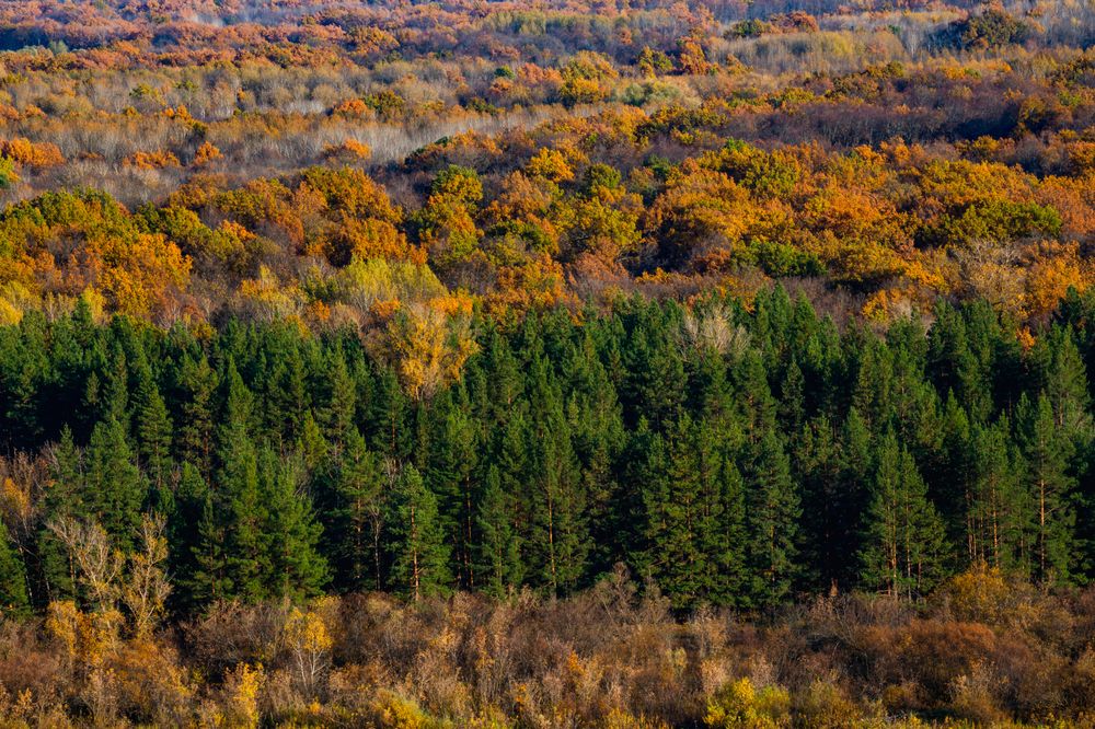 Фотография автора Дмитрий Новиков