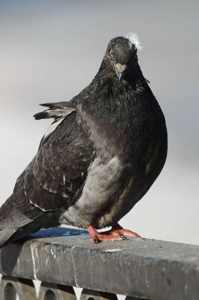 Photograph by Алексей Соймин