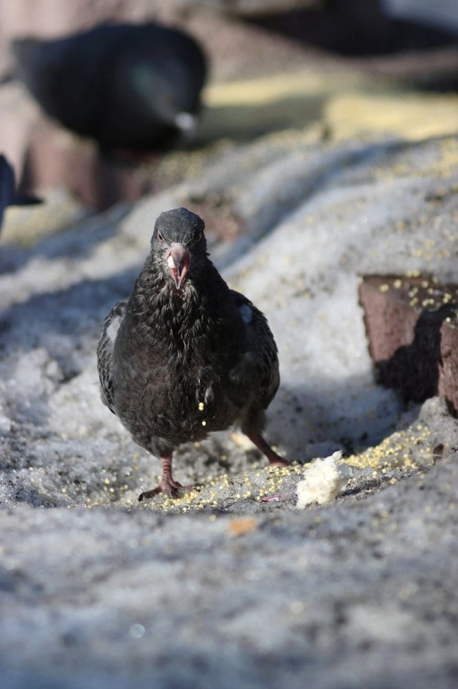 Photograph by Алексей Соймин