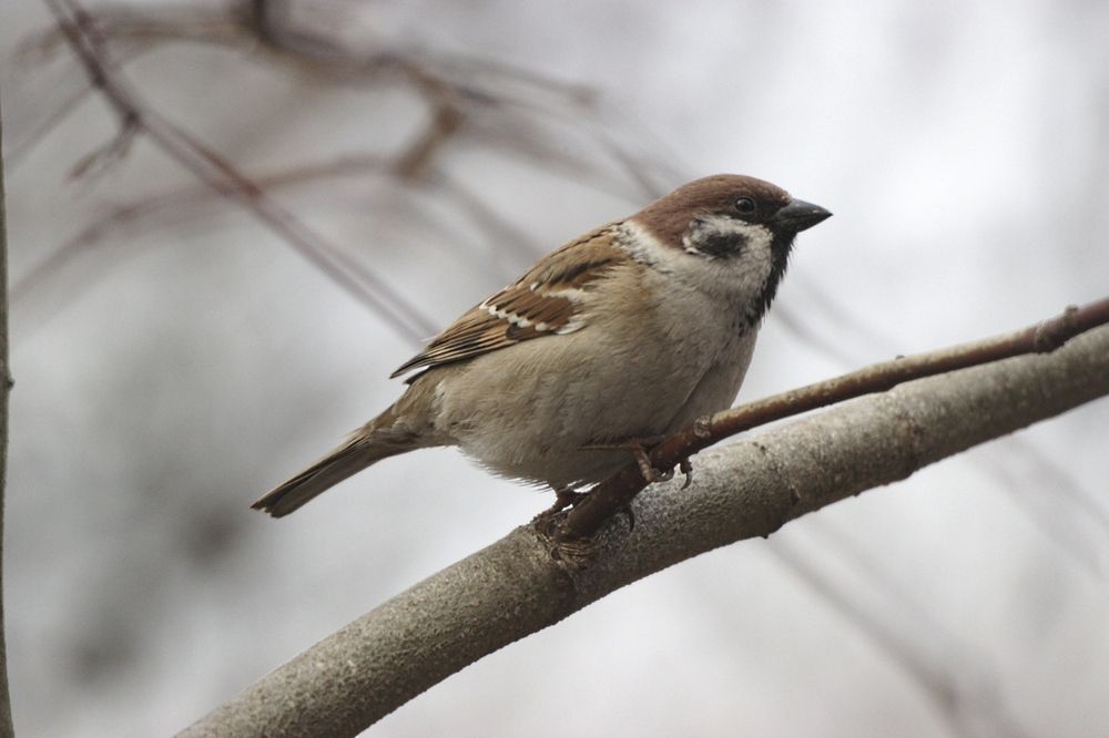 Photograph by Алексей Соймин