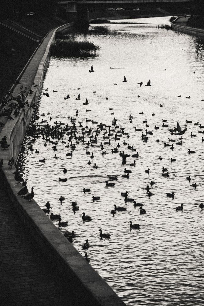 Photograph by Арина Сучкова