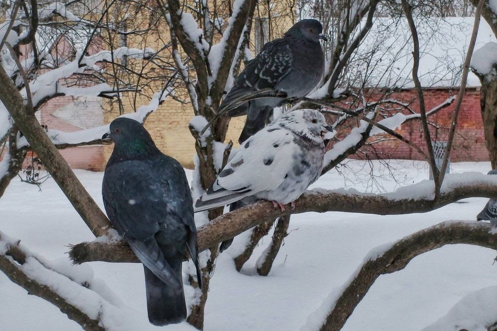 Photograph by Наталья Сафронова