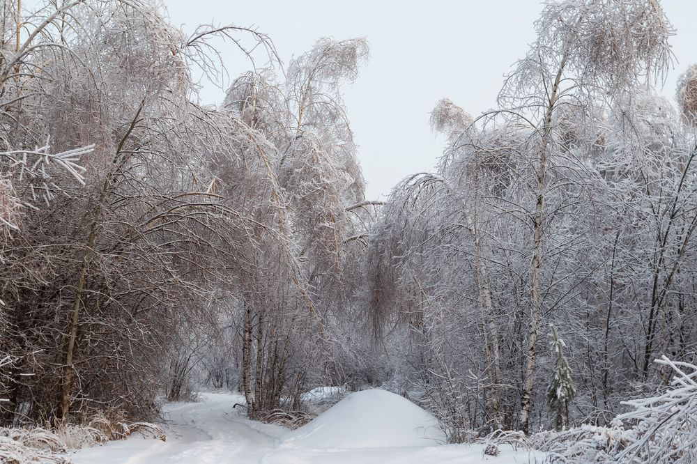 Photograph by Ольга Осинина