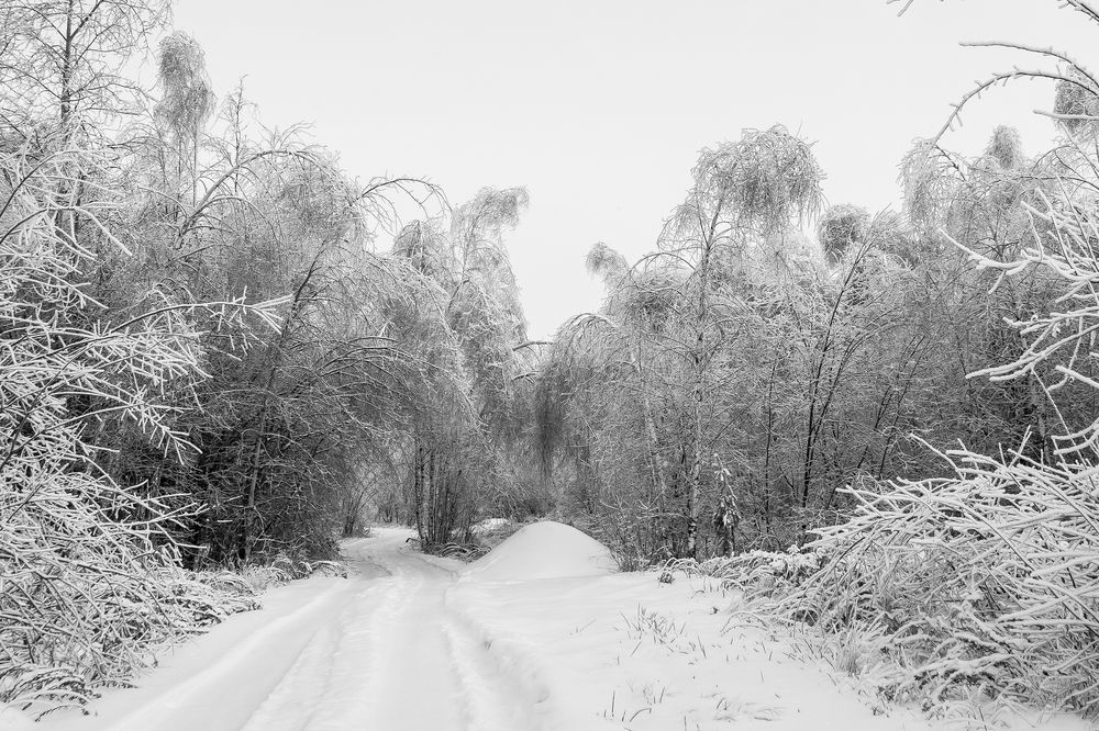 Photograph by Ольга Осинина