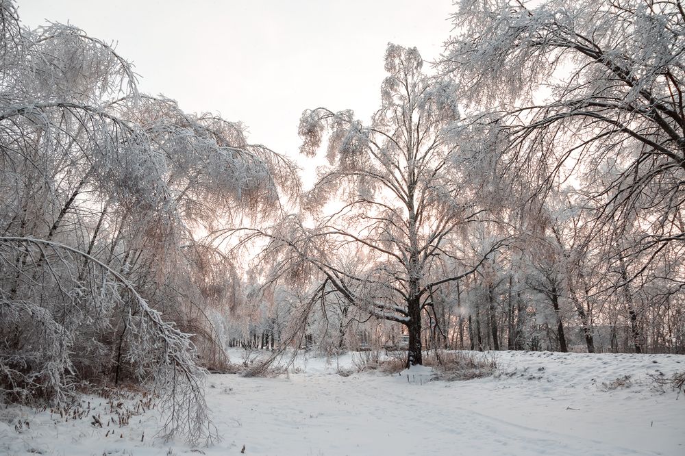 Photograph by Ольга Осинина